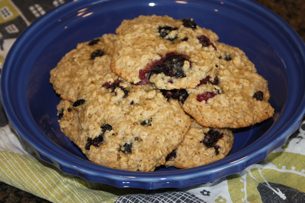 Dinah's Dishes   GF Oatmeal Blueberry Cookies